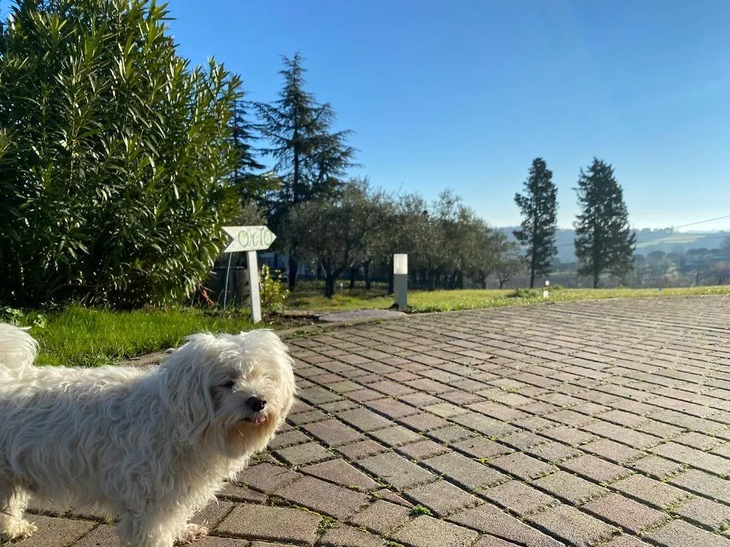 Villa Fai Bei Sogni-Green Bed&Breakfast Coriano