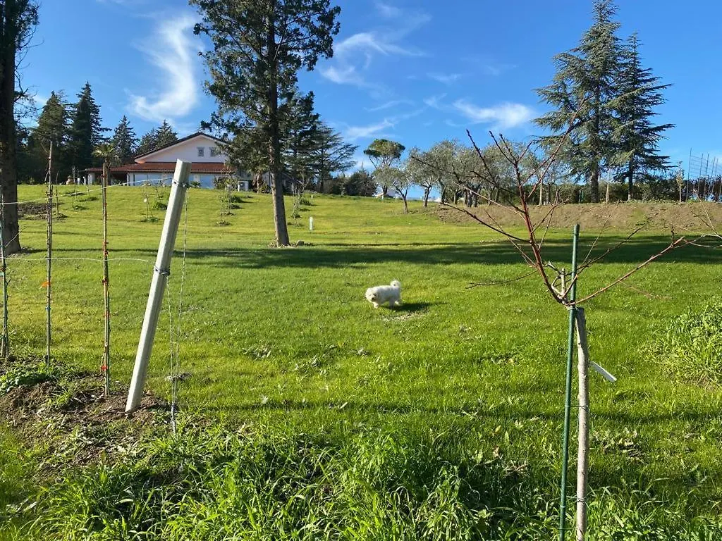 Villa Fai Bei Sogni-Green Bed&Breakfast Coriano Apartment